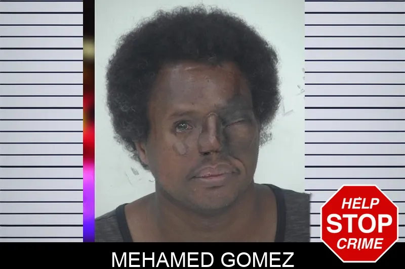 Mehamed Gomez mugshot