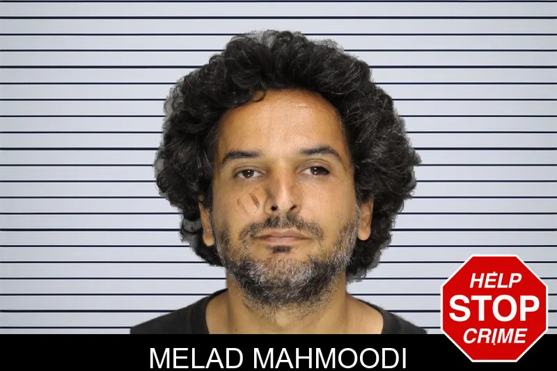 Melad Mahmoodi mugshot