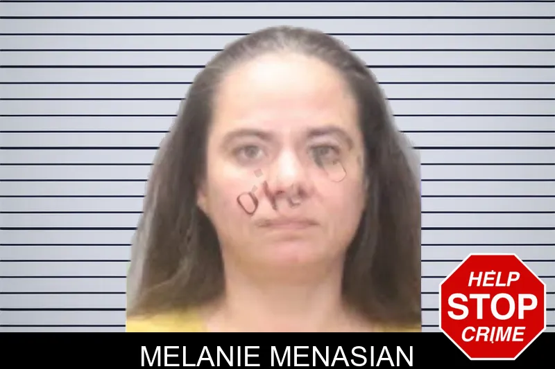 Melanie Menasian mugshot