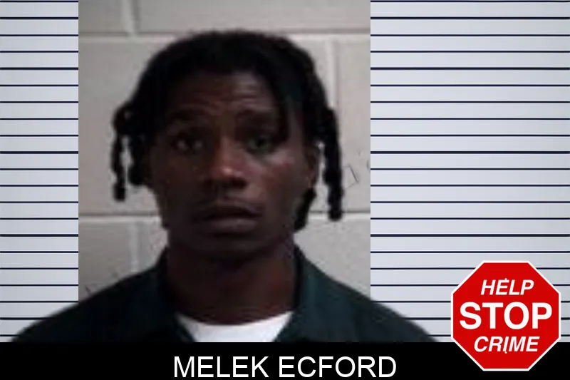 Melek Ecford mugshot