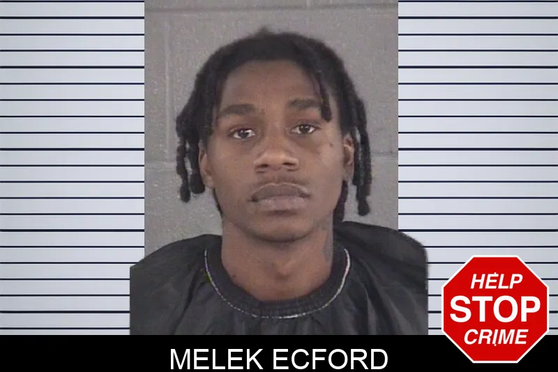 Melek Ecford mugshot