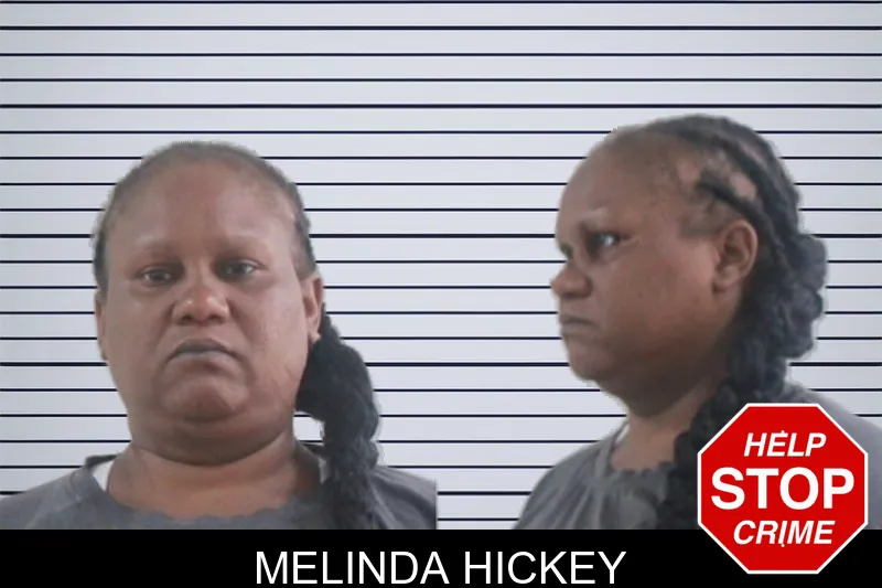 Melinda Hickey mugshot – Houston County , Georgia Melinda Hickey mugshot