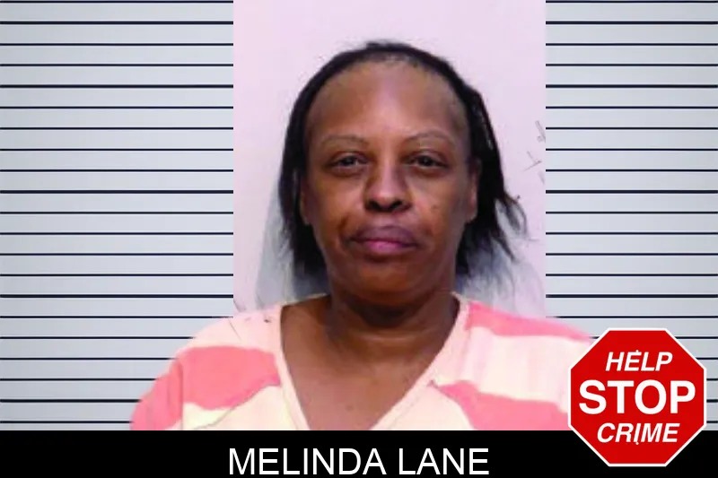 Melinda Lane mugshot – Bartow County , Georgia Melinda Lane mugshot