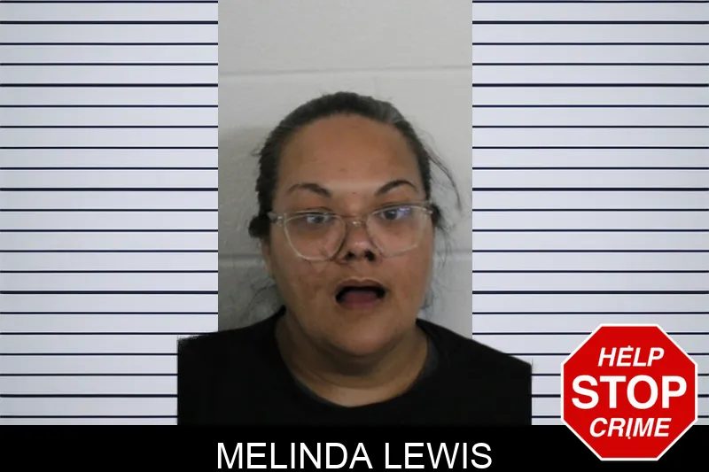 Melinda Lewis mugshot