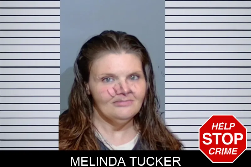 Melinda Tucker mugshot
