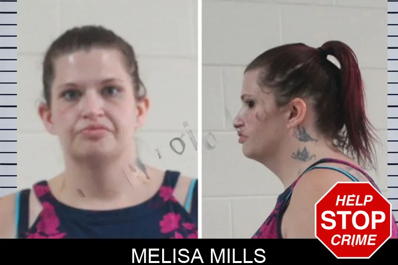 Melisa Mills mugshot