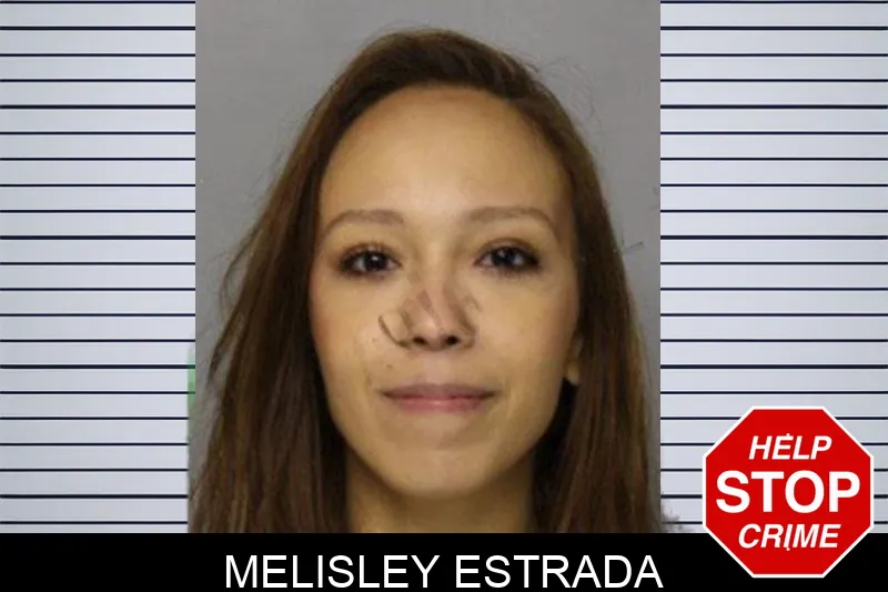 Melisley Estrada mugshot