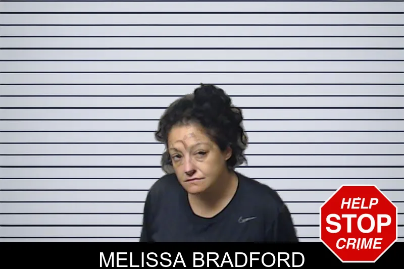 Melissa Bradford mugshot – DeKalb County , Georgia Melissa Bradford mugshot