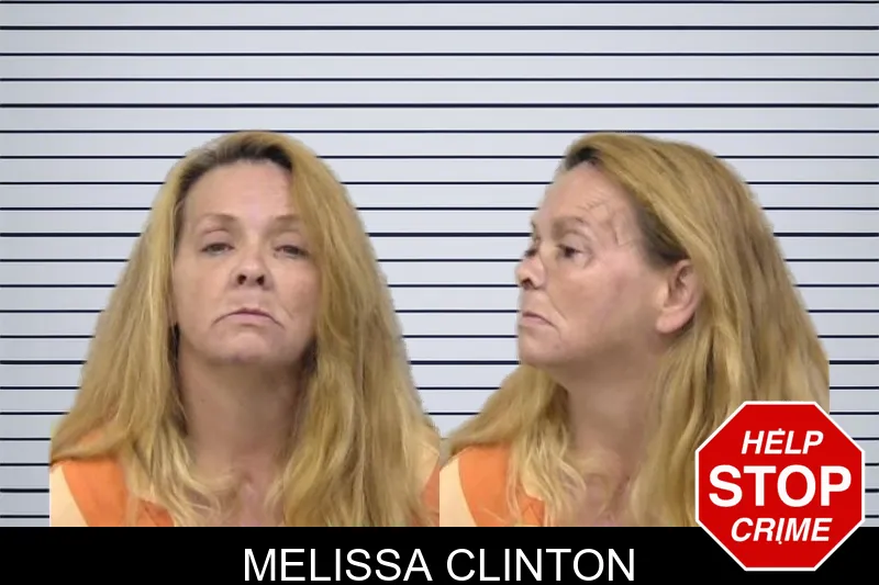 Melissa Clinton mugshot