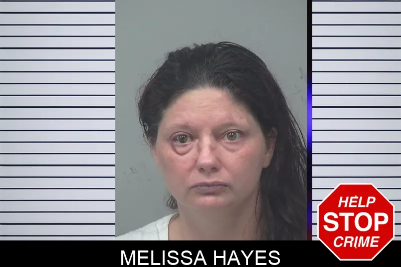 Melissa Hayes mugshot