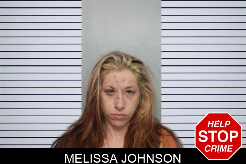 Melissa Johnson mugshot