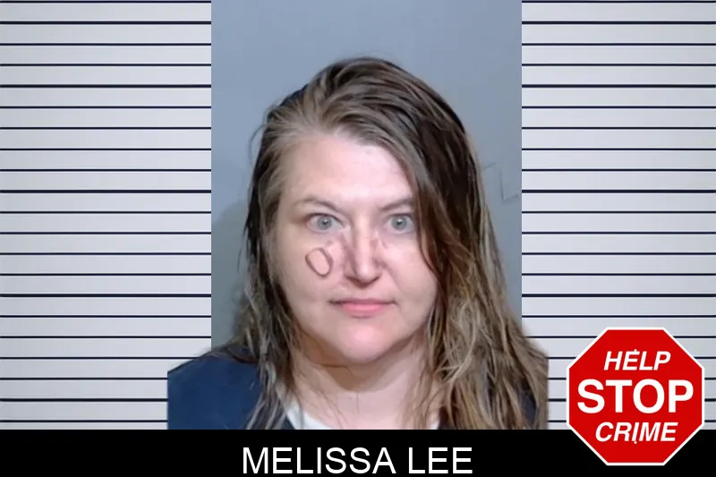 Melissa Lee mugshot