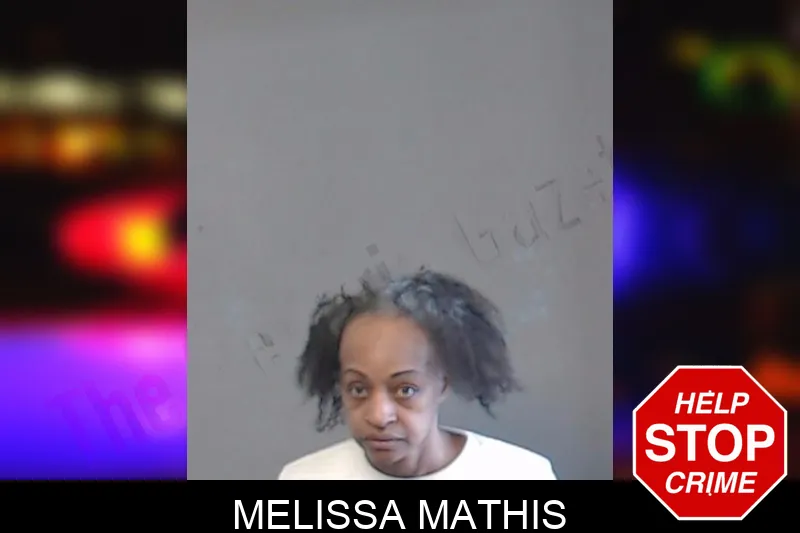 Melissa Mathis mugshot – DeKalb County , Georgia Melissa Mathis mugshot