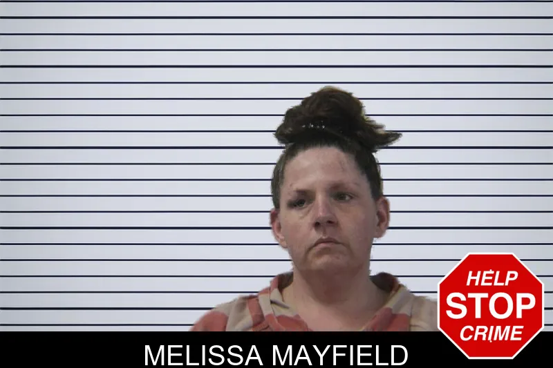 Melissa Mayfield mugshot