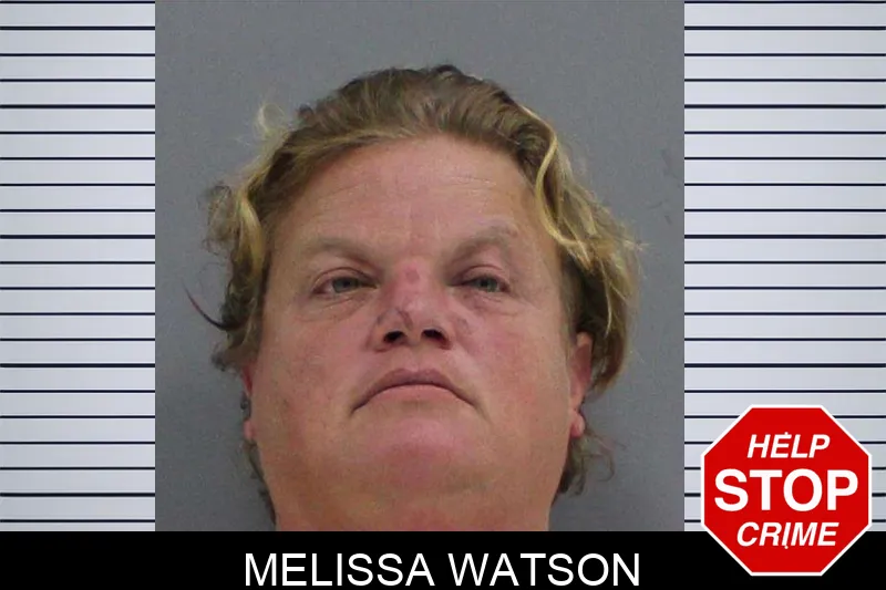 Melissa Watson mugshot – Rabun County , Georgia Melissa Watson mugshot