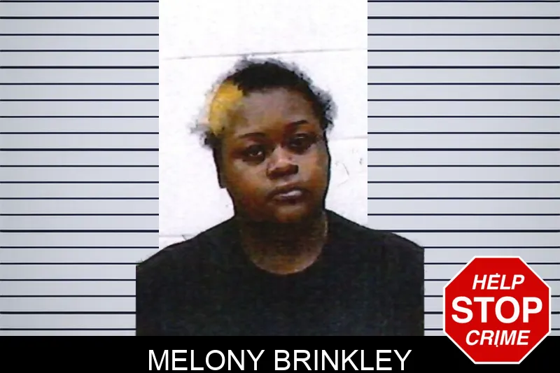 Melony Brinkley mugshot