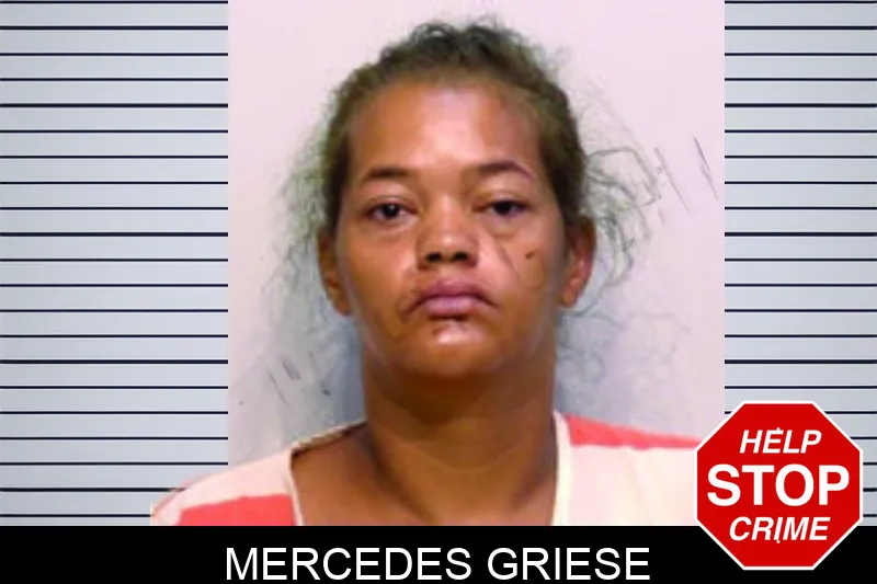 Mercedes Griese mugshot – Bartow County , Georgia Mercedes Griese mugshot