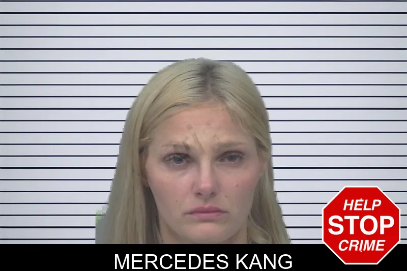 Mercedes Kang mugshot – Gwinnett County , Georgia Mercedes Kang mugshot