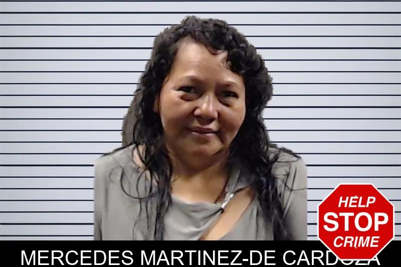 Mercedes Martinez-De Cardoza mugshot – DeKalb County , Georgia Mercedes Martinez-De Cardoza mugshot
