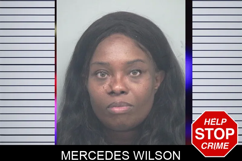 Mercedes Wilson mugshot