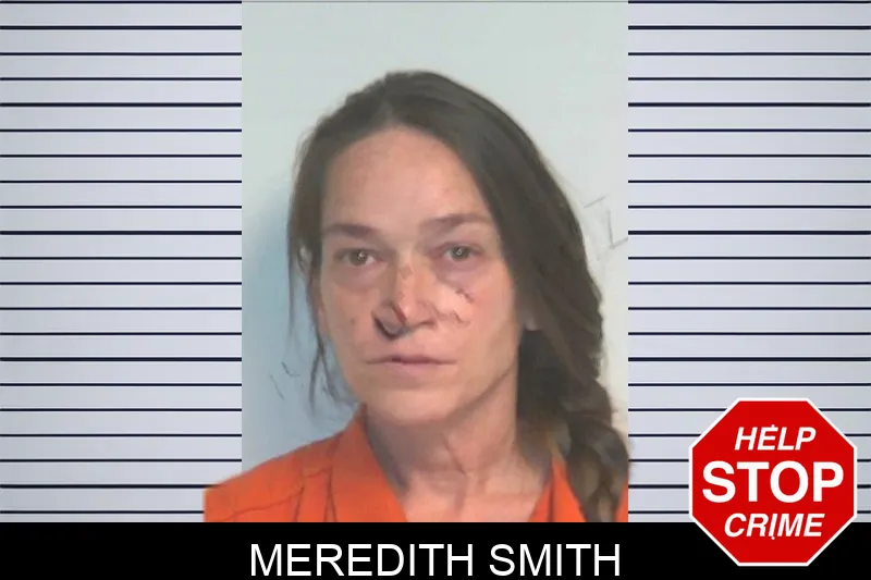 Meredith Smith mugshot