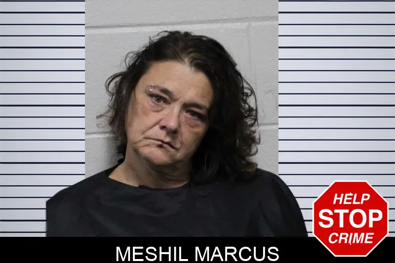 Meshil Marcus mugshot
