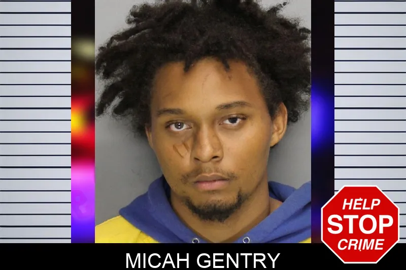 Micah Gentry mugshot – Cobb County , Georgia Micah Gentry mugshot