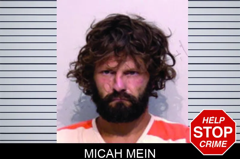 Micah Mein mugshot – Bartow County , Georgia Micah Mein mugshot