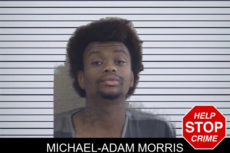 Michael-Adam Morris mugshot
