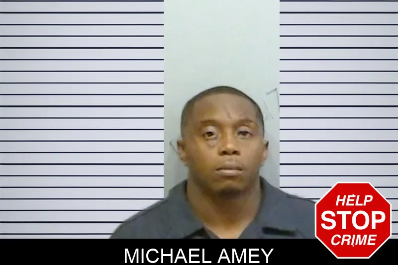 Michael Amey mugshot – Fulton County , Georgia Michael Amey mugshot