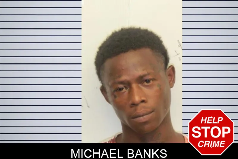 Michael Banks mugshot – Chatham County , Georgia Michael Banks mugshot