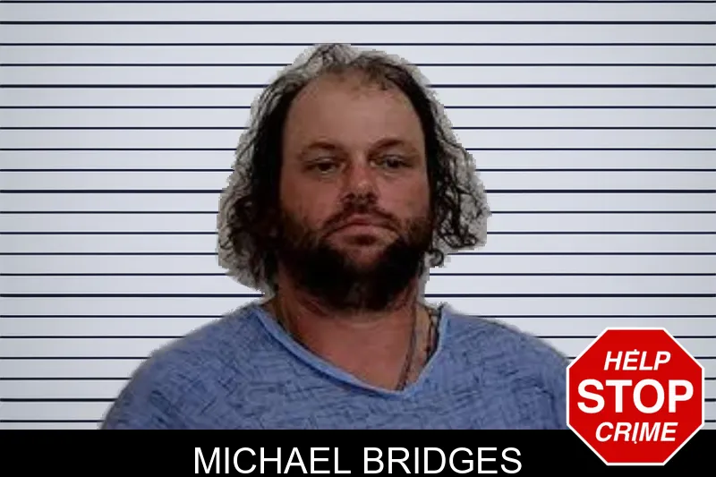 Michael Bridges mugshot