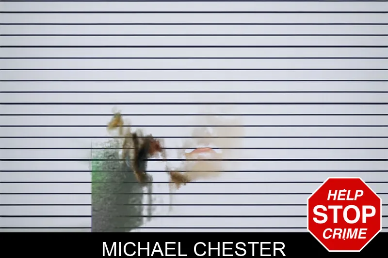 Michael Chester mugshot