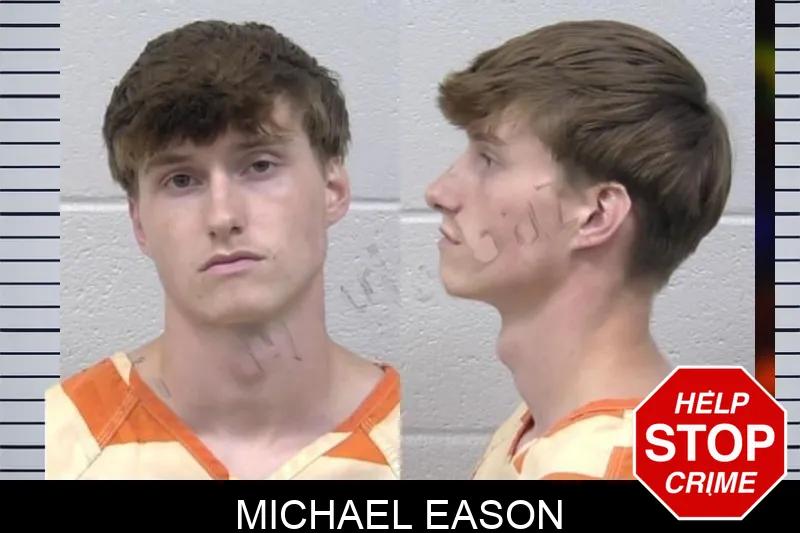 Michael Eason mugshot – Paulding County , Georgia Michael Eason mugshot