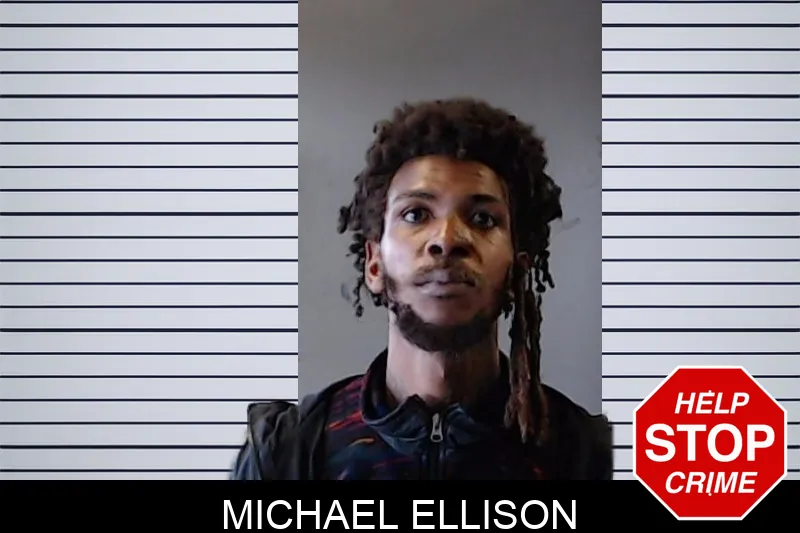 Michael Ellison mugshot