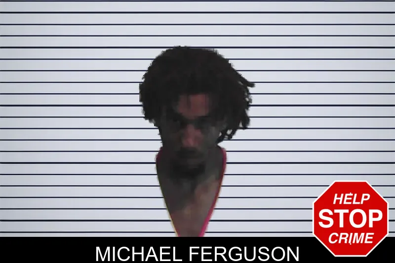 Michael Ferguson mugshot
