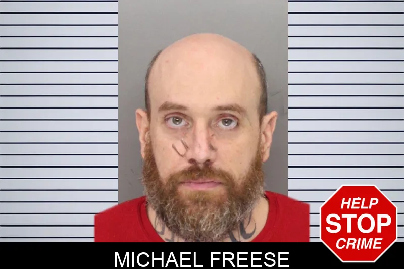 Michael Freese mugshot