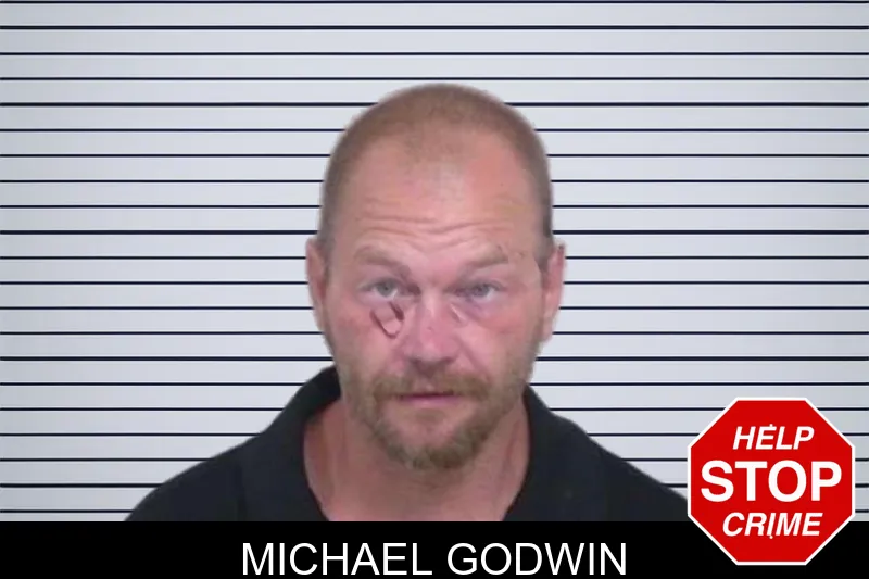 Michael Godwin mugshot