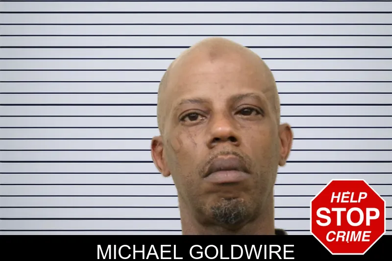 Michael Goldwire mugshot – Bulloch County , Georgia Michael Goldwire mugshot