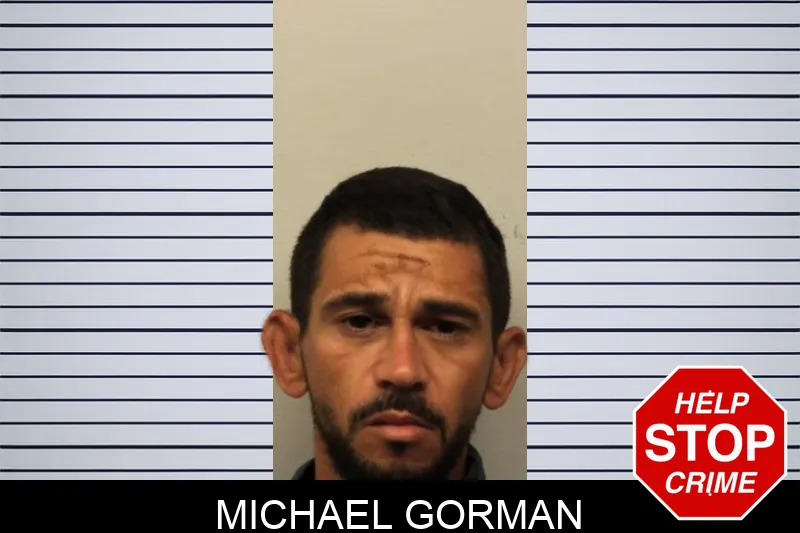 Michael Gorman mugshot