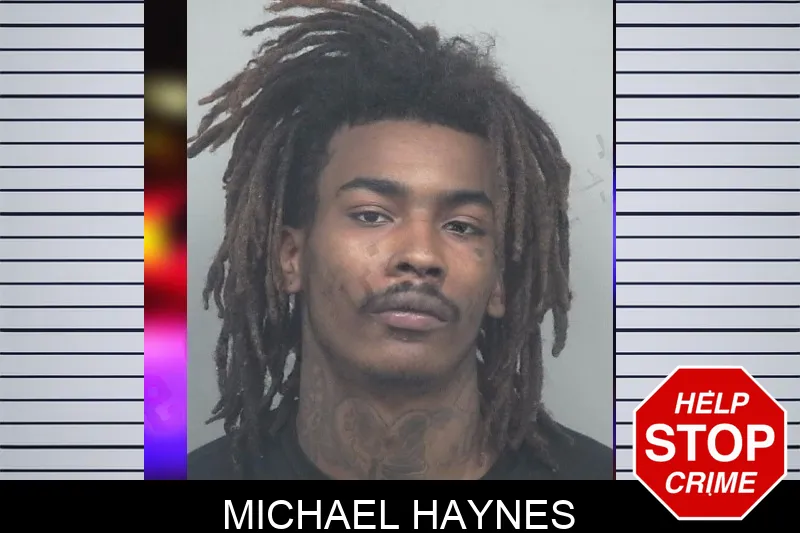 Michael Haynes mugshot