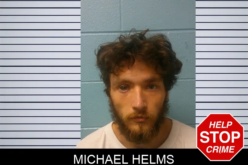 Michael Helms mugshot – Franklin County , Georgia Michael Helms mugshot