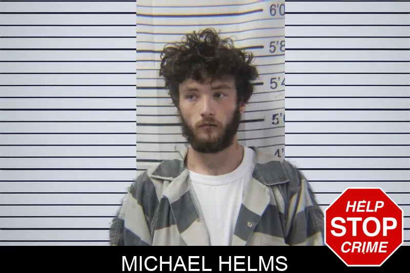 Michael Helms mugshot – Stephens County , Georgia Michael Helms mugshot