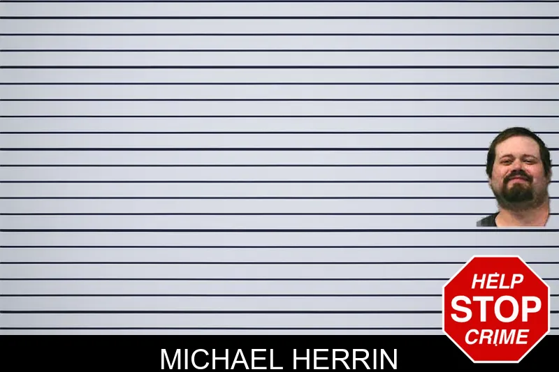 Michael Herrin mugshot