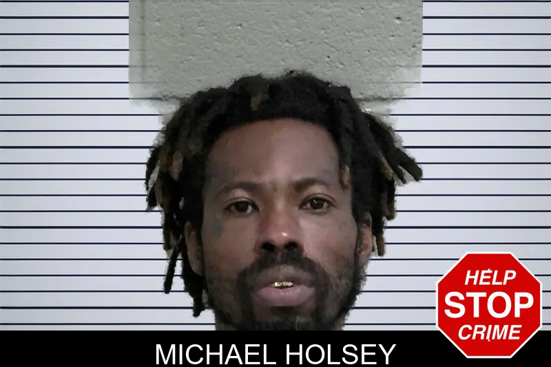Michael Holsey mugshot
