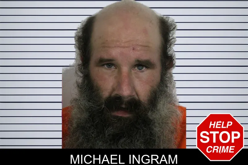 Michael Ingram mugshot
