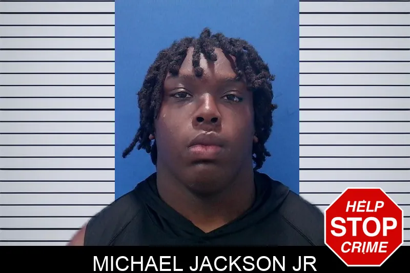 Michael Jackson Jr mugshot