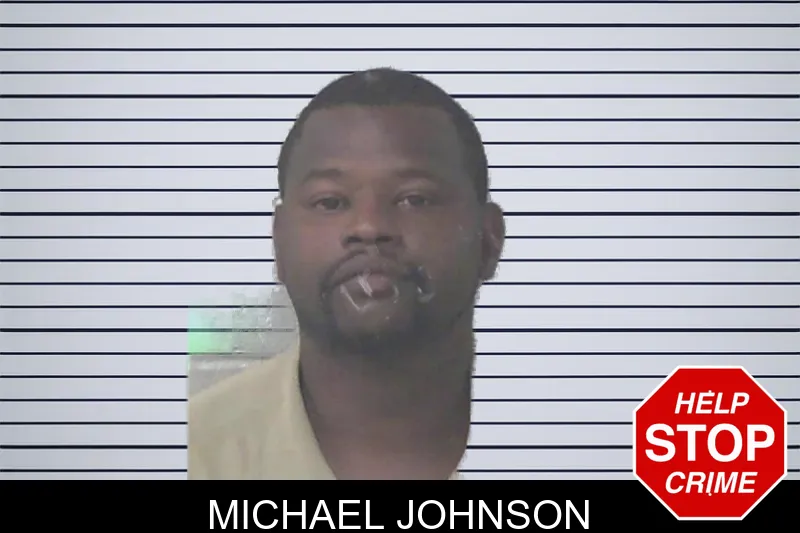 Michael Johnson mugshot