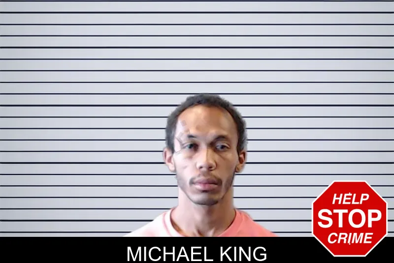 Michael King mugshot