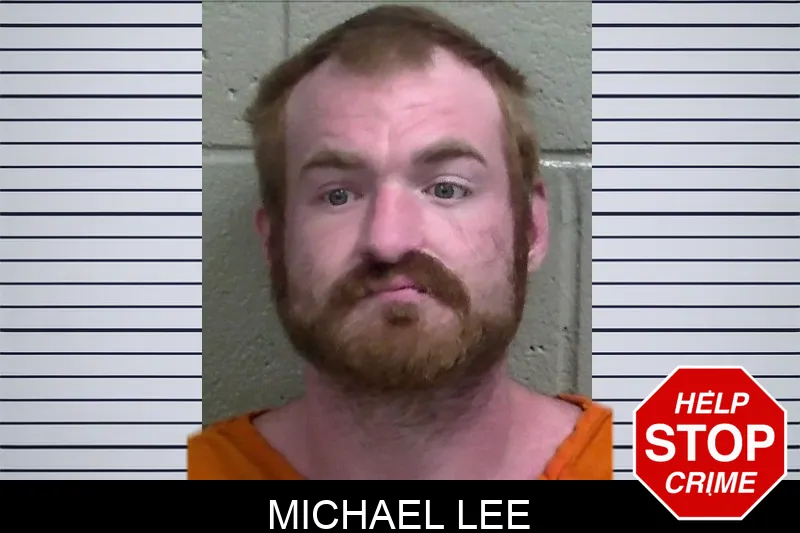 Michael Lee mugshot – Wayne County , Georgia Michael Lee mugshot